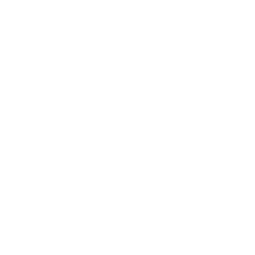 Topografia